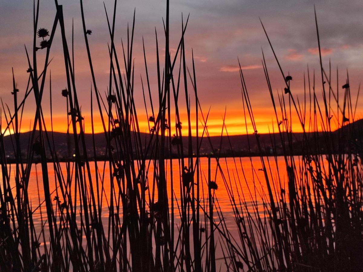 Séjour à la campagne Quechua Titicaca